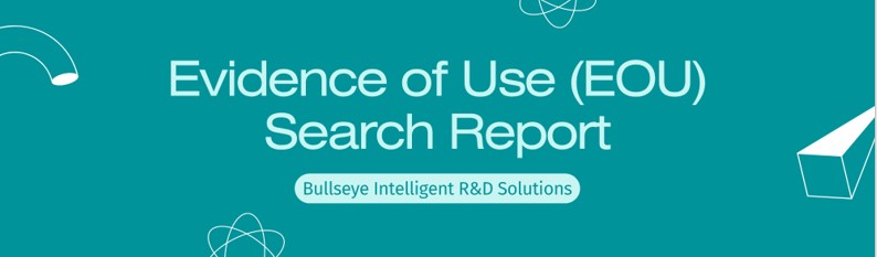 Bullseye Evidence of Use search report cover